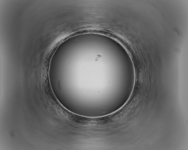 X0000113031359200908271446