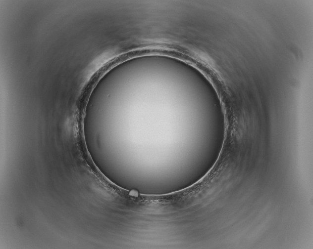 X0000113031360200908271446