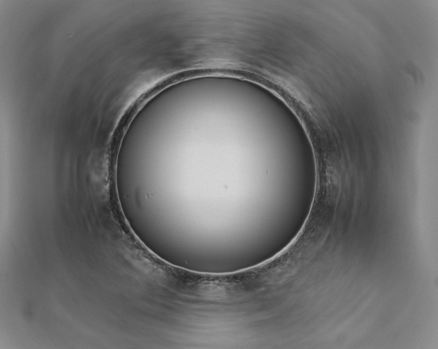 X0000113031364200908271446