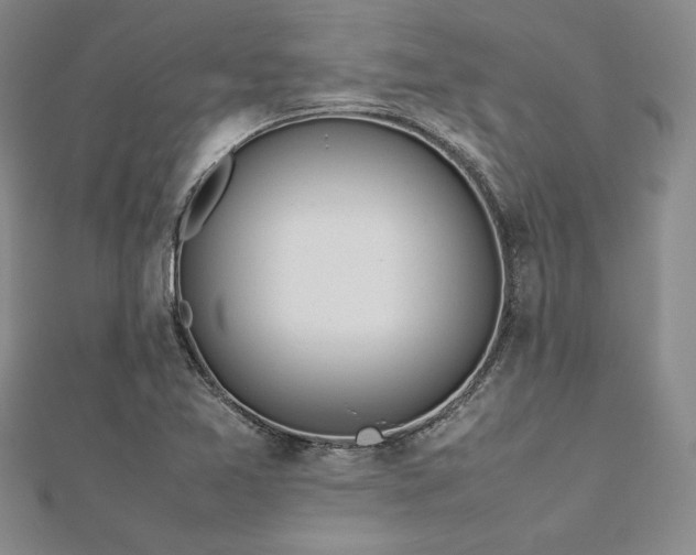 X0000113031365200908271446