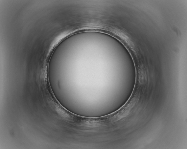 X0000113031366200908271446