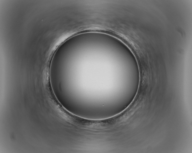 X0000113031367200908271446