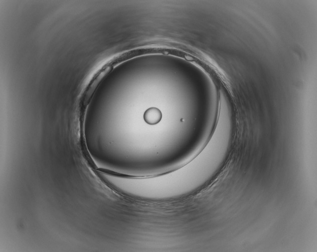 X0000113031368200908271446