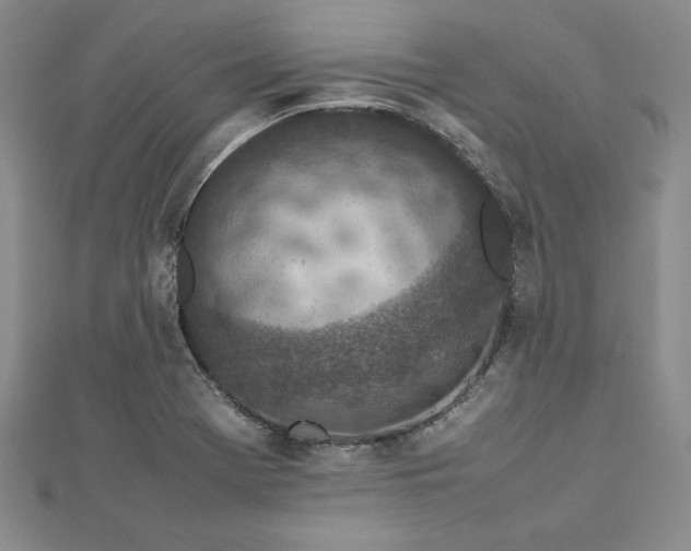 X0000113031369200908271446