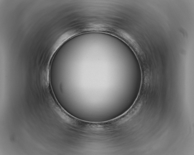 X0000113031370200908271446