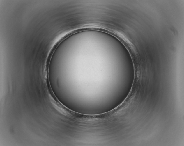 X0000113031372200908271446