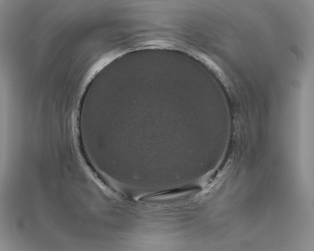 X0000113031373200908271446