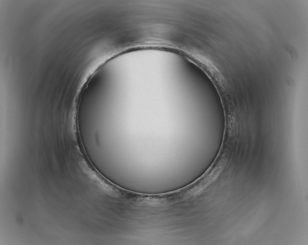 X0000113031374200908271446