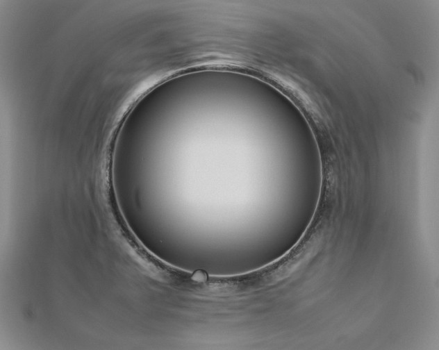 X0000113031375200908271446