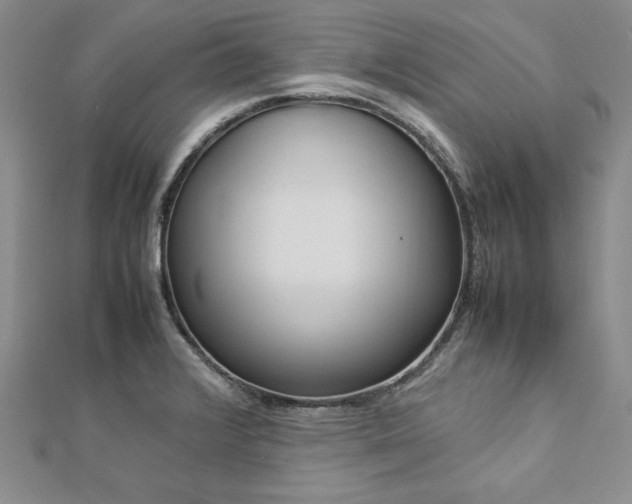 X0000113031376200908271446