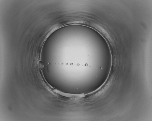 X0000113031377200908271446