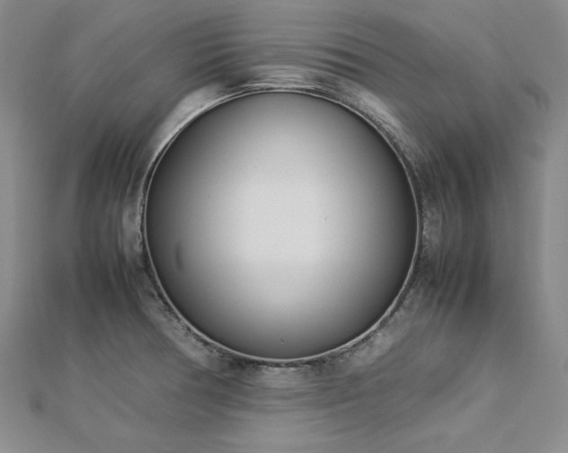 X0000113031378200908271446