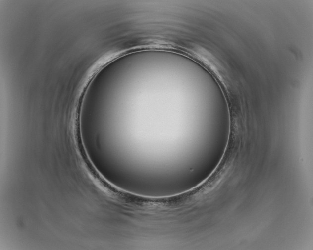 X0000113031379200908271446