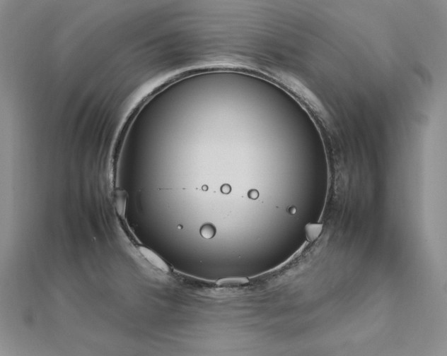 X0000113031380200908271446