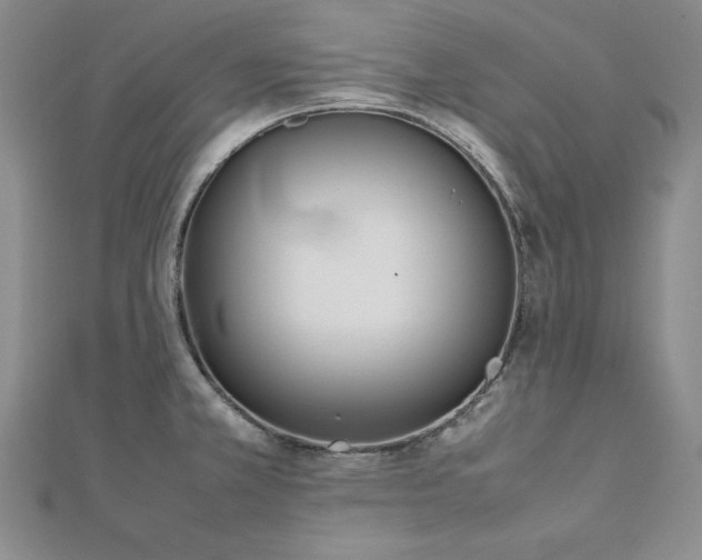 X0000113031381200908271446