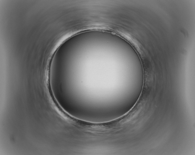 X0000113031383200908271446