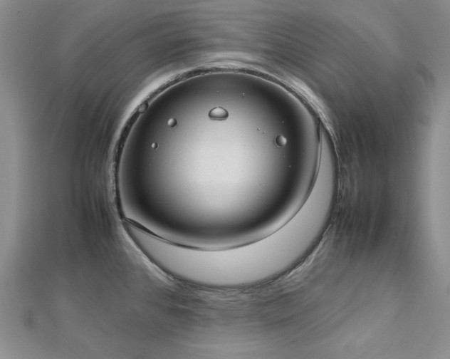 X0000113031384200908271446