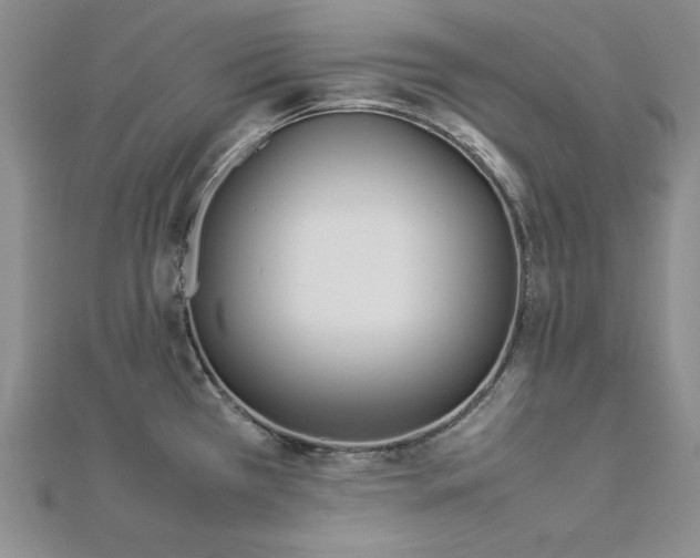 X0000113031385200908271446