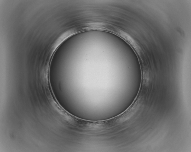 X0000113031386200908271446