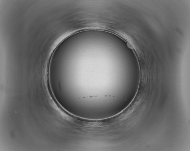 X0000113031387200908271446