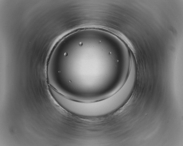 X0000113031388200908271446