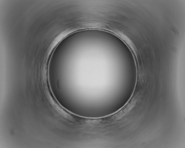 X0000113031389200908271446