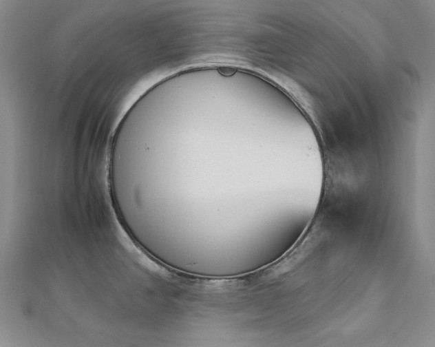 X0000113031390200908271446