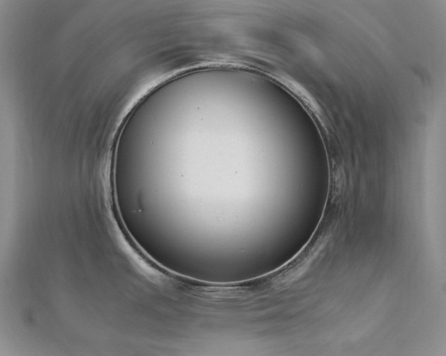 X0000113031391200908271446