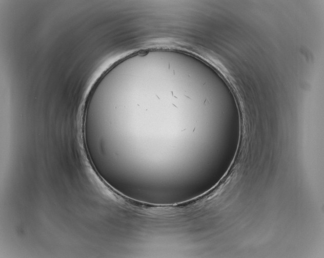 X0000113031392200908271446