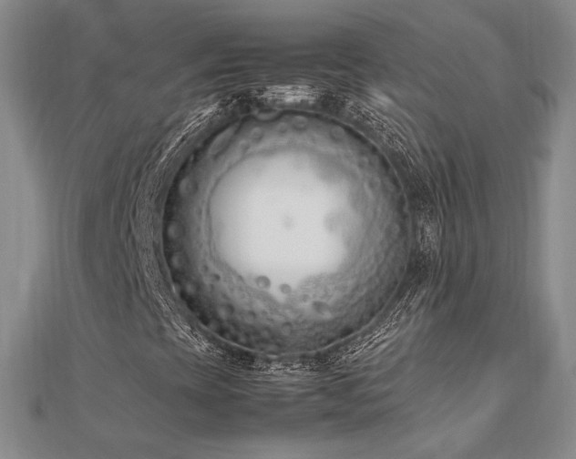 X0000113031393200908271445