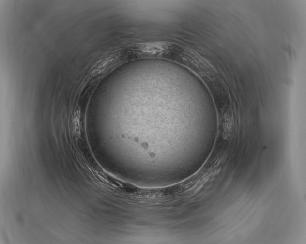 X0000113031394200908271445