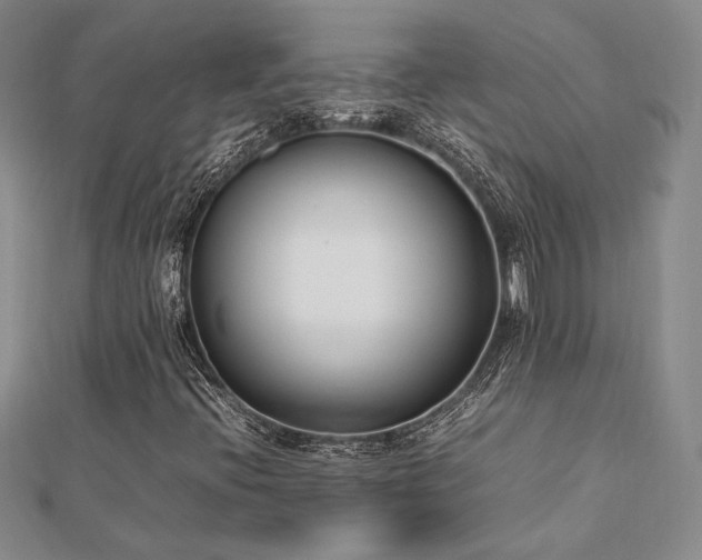 X0000113031396200908271445