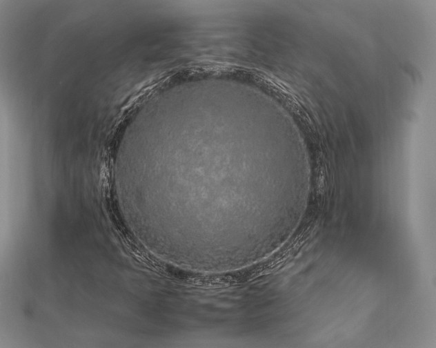 X0000113031397200908271445