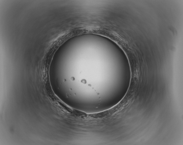 X0000113031398200908271445