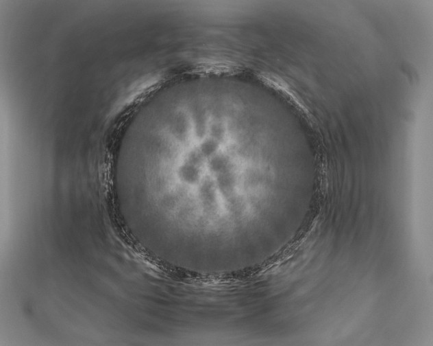 X0000113031399200908271445