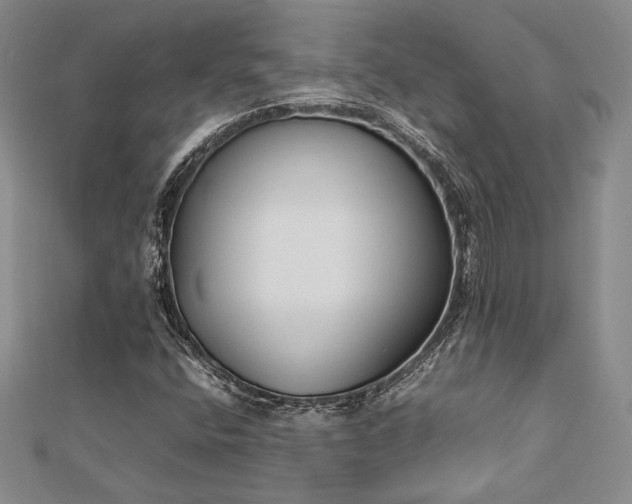 X0000113031400200908271445