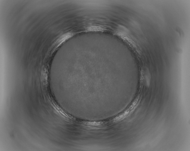 X0000113031401200908271445