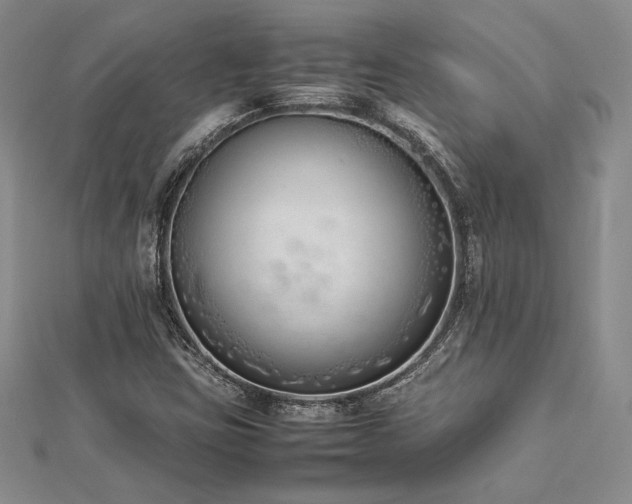 X0000113031403200908271445