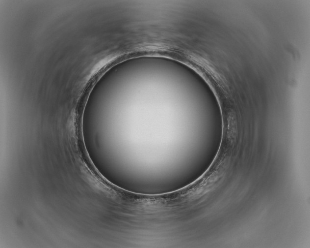 X0000113031404200908271445