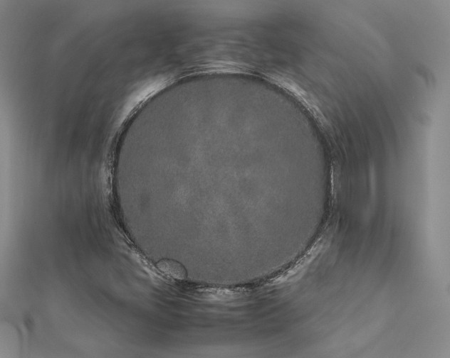 X0000113031405200908271445