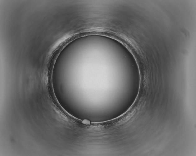 X0000113031406200908271445