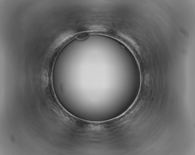 X0000113031407200908271445