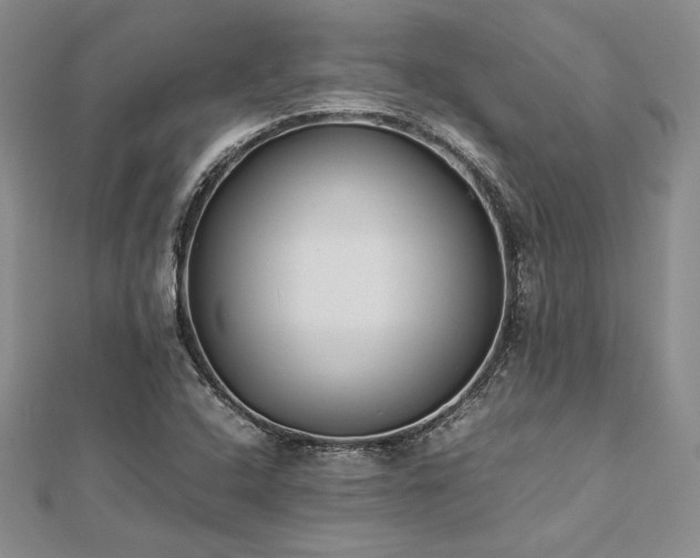 X0000113031408200908271445