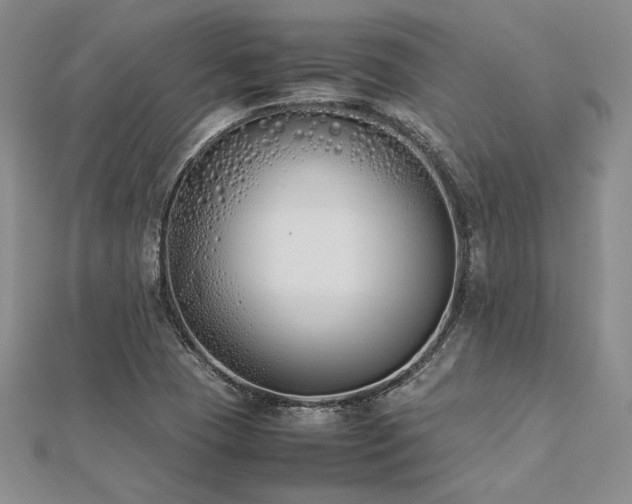 X0000113031409200908271445