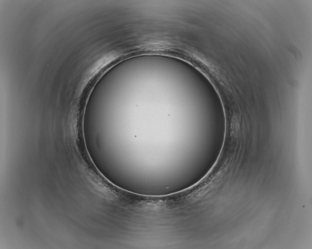 X0000113031410200908271445