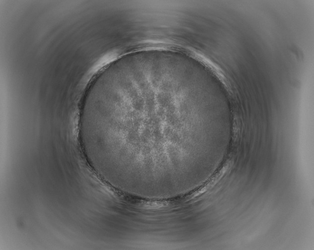 X0000113031411200908271445