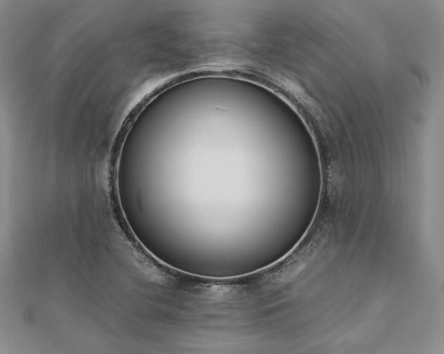 X0000113031412200908271445