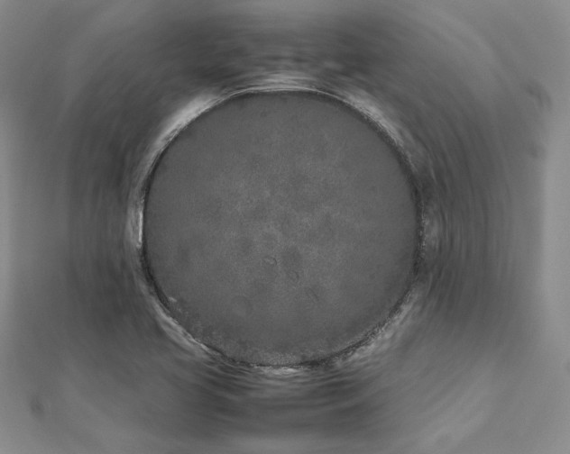 X0000113031413200908271445