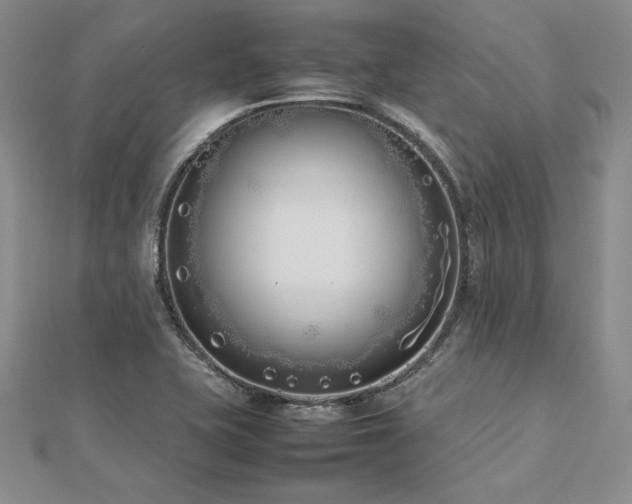 X0000113031415200908271445