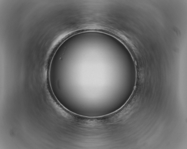 X0000113031416200908271445